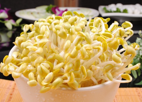 谚语中“春吃芽“的奥秘你知道吗?